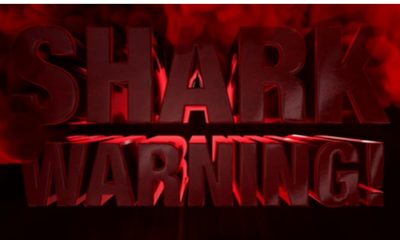 Title card with red 3D text reading ‘Shark Warning!’ with blood effects on a black background