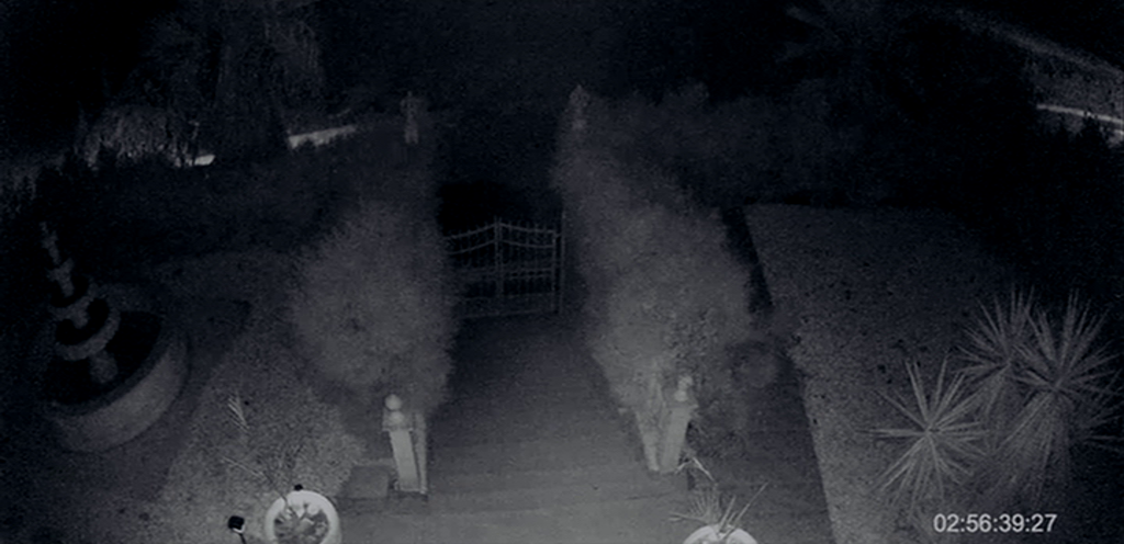 Night-vision security camera view of a garden path leading to a gate.