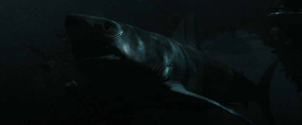 Great white shark swimming through dark ocean water.