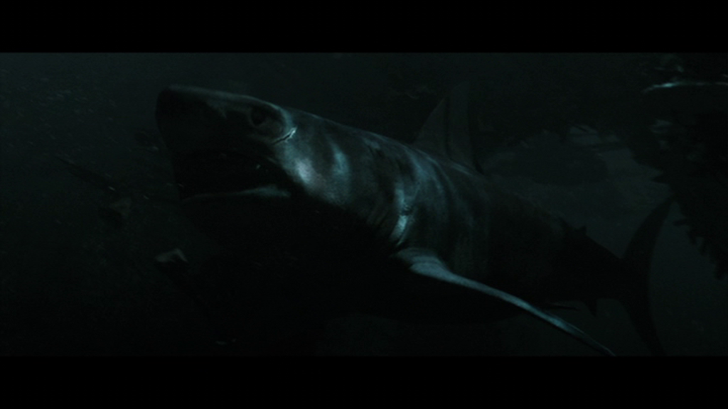 Great white shark swimming through dark ocean water.