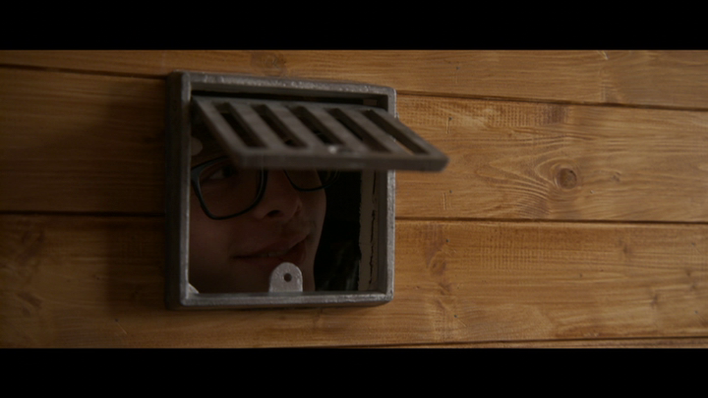 Person looking through a small metal hatch in a wooden wall.